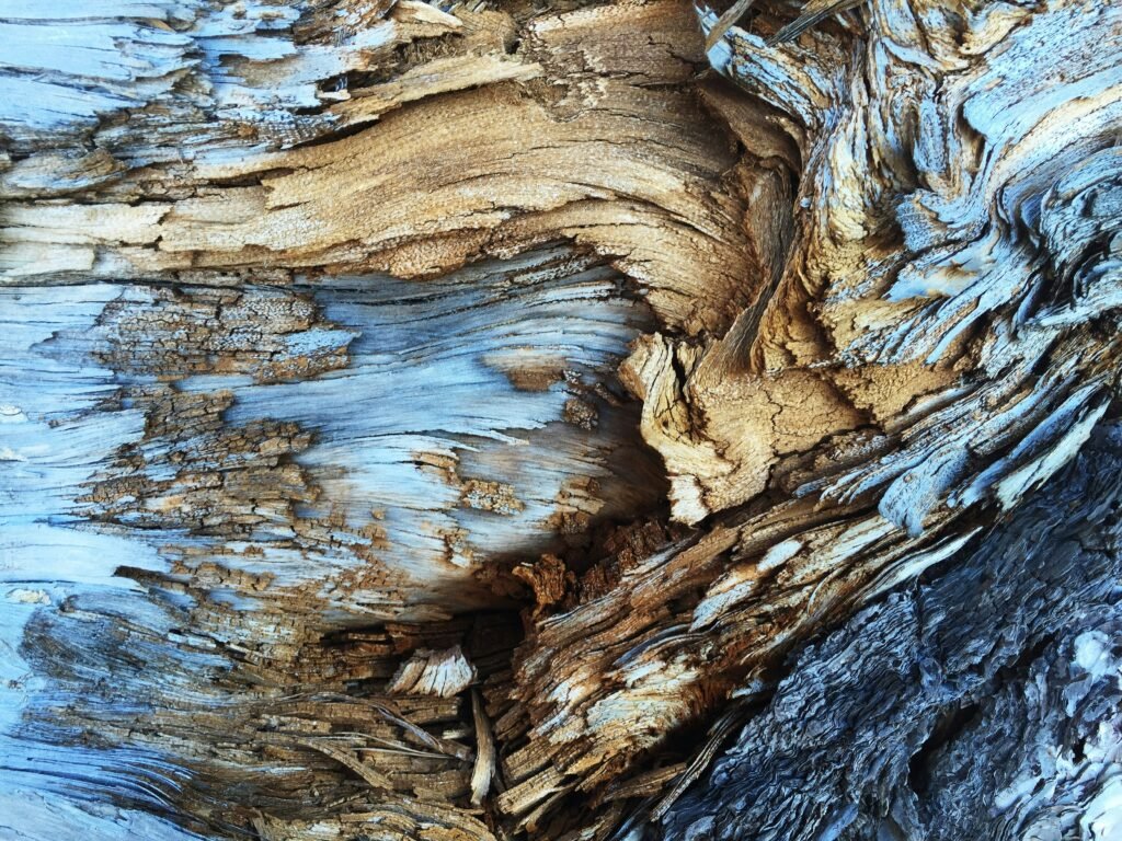How to Choose the Best Wood for Smoking
