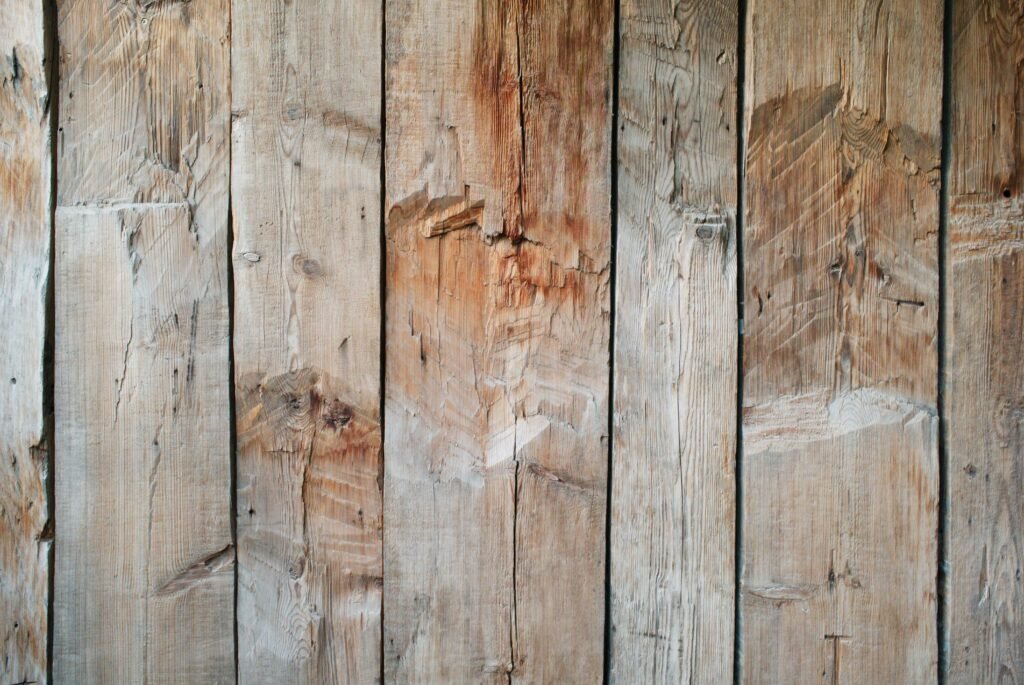 How to Choose the Best Wood for Smoking
