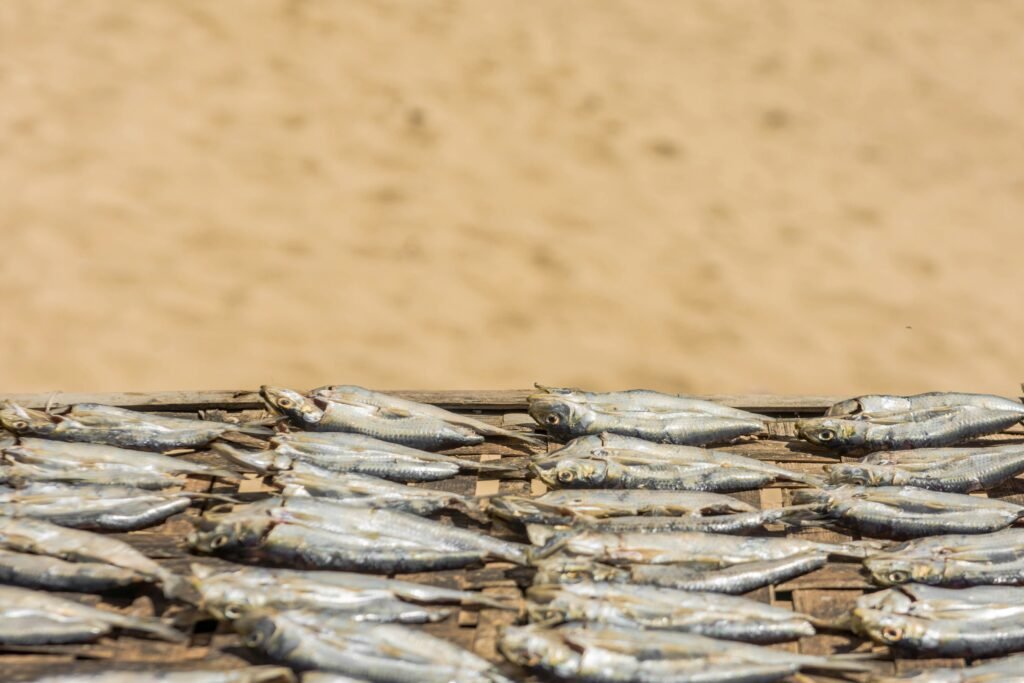 Smoked Fish Recipe